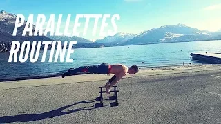 Parallettes Exercises - RAMASS Fitness Parallette 2018