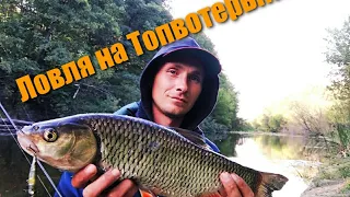 Ловля на Топвотеры!!! Просто и эффективно ловим голавля!!!