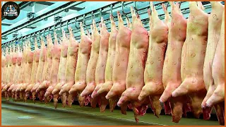 How Farmers Raise 9 Million Pigs - Canned Pork Factory | Processing Factory