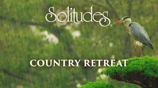 Dan Gibson’s Solitudes - Quiet Rain | Country Retreat