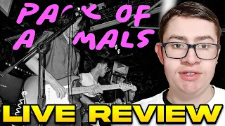 CAR THOUGHTS - Pack Of Animals LIVE VIDEO REVIEW!!!!!