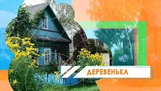 Деревенька 10. 04. 2018 [БЕЛАРУСЬ 4| Могилев]