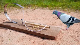 Method Install Bird Trap Using Old Bike | Simple Bird Trap