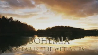 Bohemia - A Year in the Wetlands (ORF Universum)