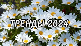 💗Танцуй если знаешь этот тренд 2024 года💗