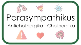 Parasympathikus –  Pharmakologie (Anticholinergika: Atropin, Scopolamin - Cholinergika: Neostigmin)