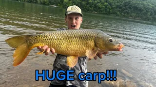Catching HUGE carp on raystown lake!!!