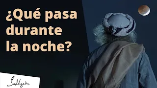 ¿Qué sucede si te quedas despierto hasta tarde en la noche? | Sadhguru