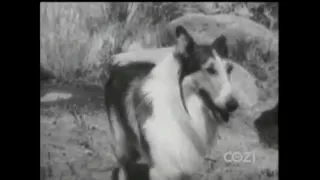Lassie - Episode #356 - "Incident of the Eagle" - Season 11, Ep. 4 - 09/27/1964