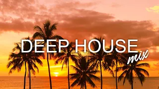 Avicii, Calvin Harris, Kygo, Alok, Robin Schulz, David Guetta, Gryffin - Summer Vibes Mix #396