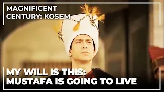 Sultan Ahmed Forgives Prince Mustafa's Life | Magnificent Century: Kosem
