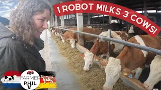 1 ROBOT MILKS 3 COWS AT ONCE! | FLECKVIEH COWS ARE THE FUTURE?!