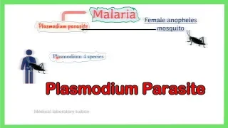 malaria parasite || Plsamodium Life cycle || Laboratory diagnosis || Morphology || full explained