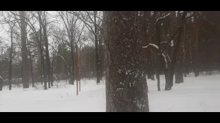 01.03.21 тольятти календарная весна, с первым днем внюесны.