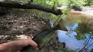 LOG JAM FISHING