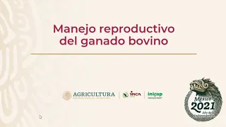 Curso: Manejo reproductivo de ganado bovino | Sesión 1