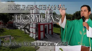 Resumen de Homilías, del 10 al 16 de Julio del 2023 - Padre Arturo Cornejo