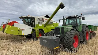 #706- Rzepak sypie lepiej jak pszenica?! W końcu kosimy u nas! Claas Medion 310 w akcji!