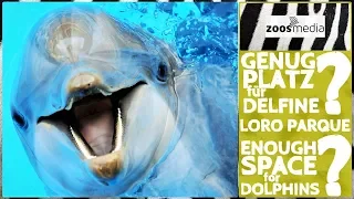 Do the DOLPHINS at LORO PARQUE have too little space? 🐬 | zoos.media