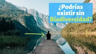 ¿Qué es BIODIVERSIDAD y por qué es importante? #biodiversidad