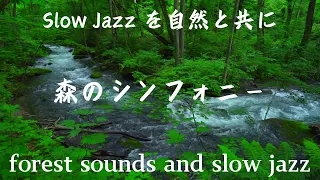 自律神経を整える自然音 / 癒しbgm / 睡眠用bgm / 瞑想用bgm / relax bgm / jazz