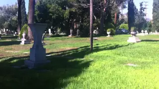 Hollywood Forever Tyrone powers and Virginia Rappe