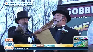 Punxsutawney Phil Predicts Six More Weeks Of Winter