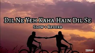 Dil Ne Yeh Kaha Hain Dil Se - | Slowed And Reverb | Udit Narayan | Slow Cloud