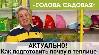 Голова садовая - АКТУАЛЬНО! Как подготовить почву в теплице