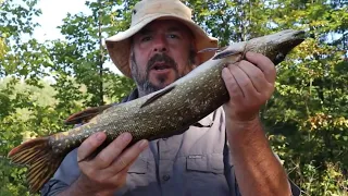 How to Fillet a Pike with No Bones. Catch and Cook!