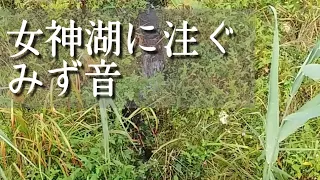 女神湖に注ぐ水　みず音