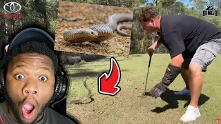 AMERICAN REACTS TO Worlds Deadliest Snakes In Australia!
