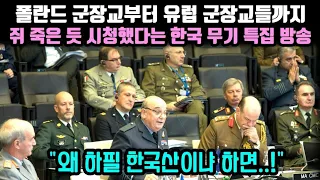 한국교수 초대한 폴란드 한국무기 특집 방송