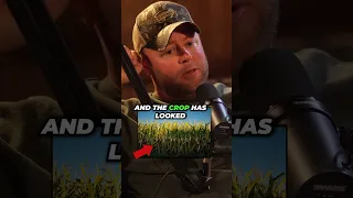 The Frustrating Part About Farming