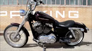 2007 Harley Davidson 1200 custom sportster walk around and start up. LOUD!!!HD!!!