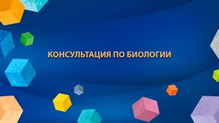 2020-08-13 - Консультация по биологии