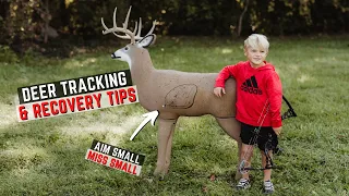 Deer Recovery And Tracking Tips - What To Do AFTER The Shot