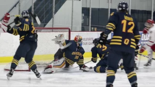 York Lions HIGHLIGHTS | No. 6 Men's Hockey vs. No. 5 Queen's Gaels (OUA Championship) - Mar. 11, '17