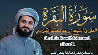 القارئ الشيخ : رعد محمد الكردي  سورة البقرة ||  Sourat Albaqarah  Sheikh: Raad Mohamed alkurdi