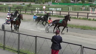 Для лошадей рысистых пород 3-х лет, 1600 м 01.06.2019. Абаканский ипподром