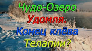 Чудо-Озеро Удомля. Рыбалка с ночёвкой. Фидерная рыбалка. Рыбалка 2022. Рыбалка на фидер весной.