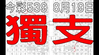 【今彩539神算】8月19日 上期中06 今彩539 獨支