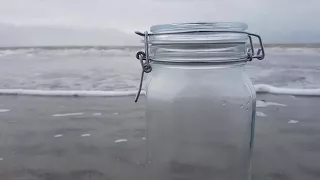 A Natural Saltwater Ecosphere - Making a homemade closed seawater ecosystem