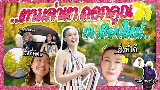 ตามล่าหาดอกคูณ ณ เชียงใหม่ ! | EP.65