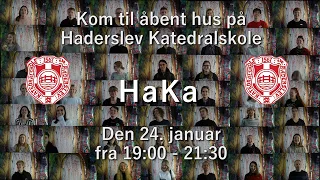 Åbent hus på Haderslev Katedralskole 2018