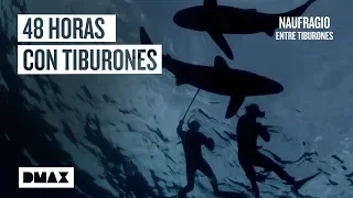 Dos expertos en supervivencia luchan por salvar su vida naufragando entre tiburones | Tiburones