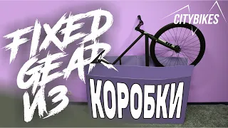 FIXED GEAR ИЗ КОРОБКИ. Poloandbike CMNDR