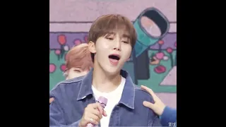 [세븐틴/승관] 삐진 미스터부 달래는 멤버들