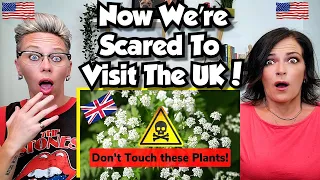 American Couple Reacts: TOP 10 Poisonous Plants In The UK! FIRST TIME REACTION! *LIFE SAVING INFO*