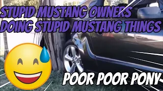 Mustang Drivers Doing Mustang Things